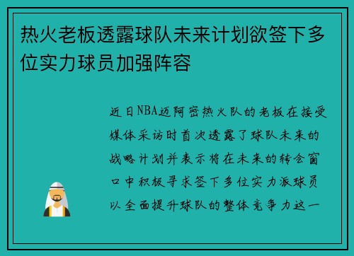 热火老板透露球队未来计划欲签下多位实力球员加强阵容