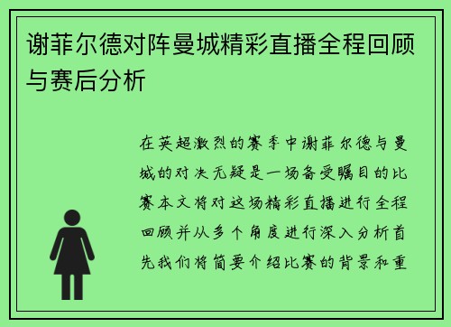 谢菲尔德对阵曼城精彩直播全程回顾与赛后分析