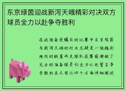 东京绿茵迎战新泻天峨精彩对决双方球员全力以赴争夺胜利